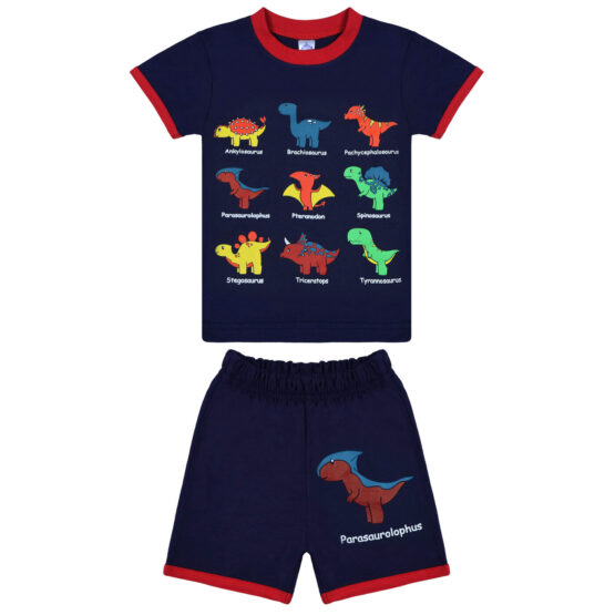 Комплект детский «Bonito» №0004 (1-4 года) футболка и шорты мальчик