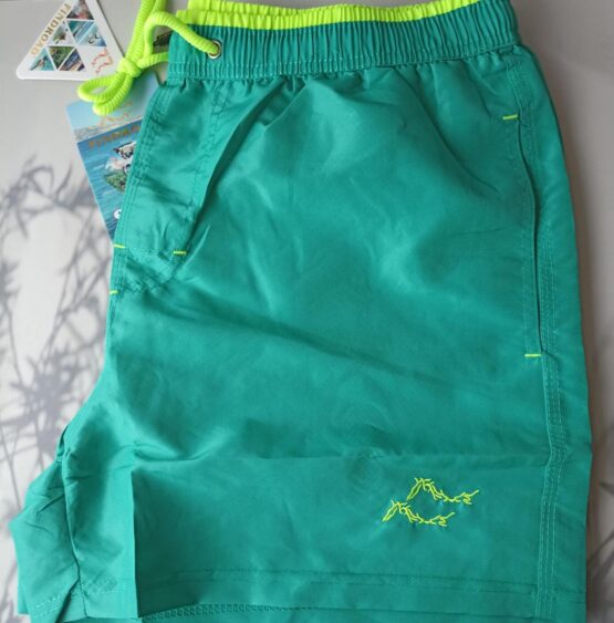 Шорты для плавания мужские №2033 (48-56)