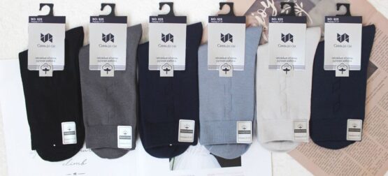 Носки мужские тонкие «СиньДеСы» №925 (12 пар)