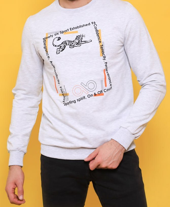 Футболка мужская «Samo» №М8904М (M-3XL) длинный рукав, принт