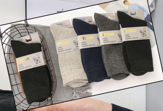 Носки мужские теплые «Syltan» №9825-5 собака (12 пар)