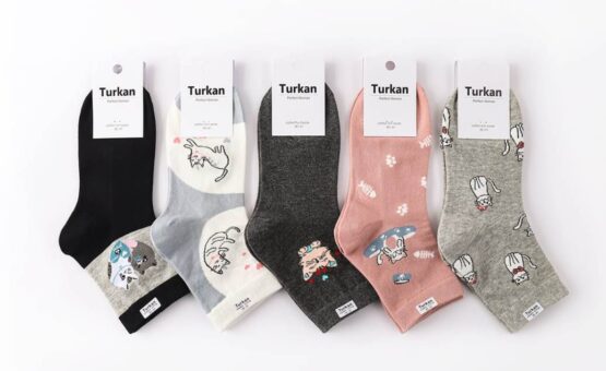 Носки женские тонкие «Turkan» №62551 коты (10 пар)