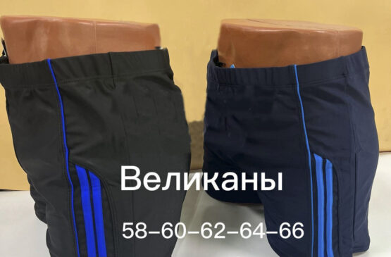 Боксеры для плавания мужские (58-66) №777