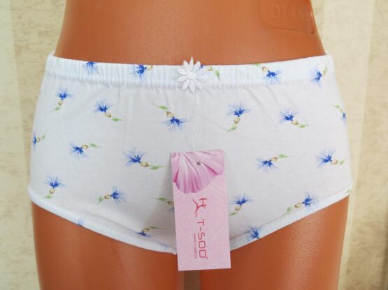 Трусы женские «T-SOD» №040 (M-3XL)